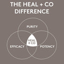 Heal + Co. 8 Mushroom Immunity Tincture - 50ml Chocolate - Adaptogen