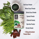 Botanica Perfect Greens - Chocolate 173g - Greens