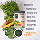 Botanica Perfect Greens - Superfruit 154g - Greens