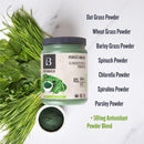 Botanica Perfect Greens Organic - Unflavoured 400g - Greens