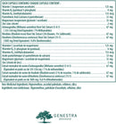 Genestra Brands Adreno Restore - 90 capsules - Brain Support