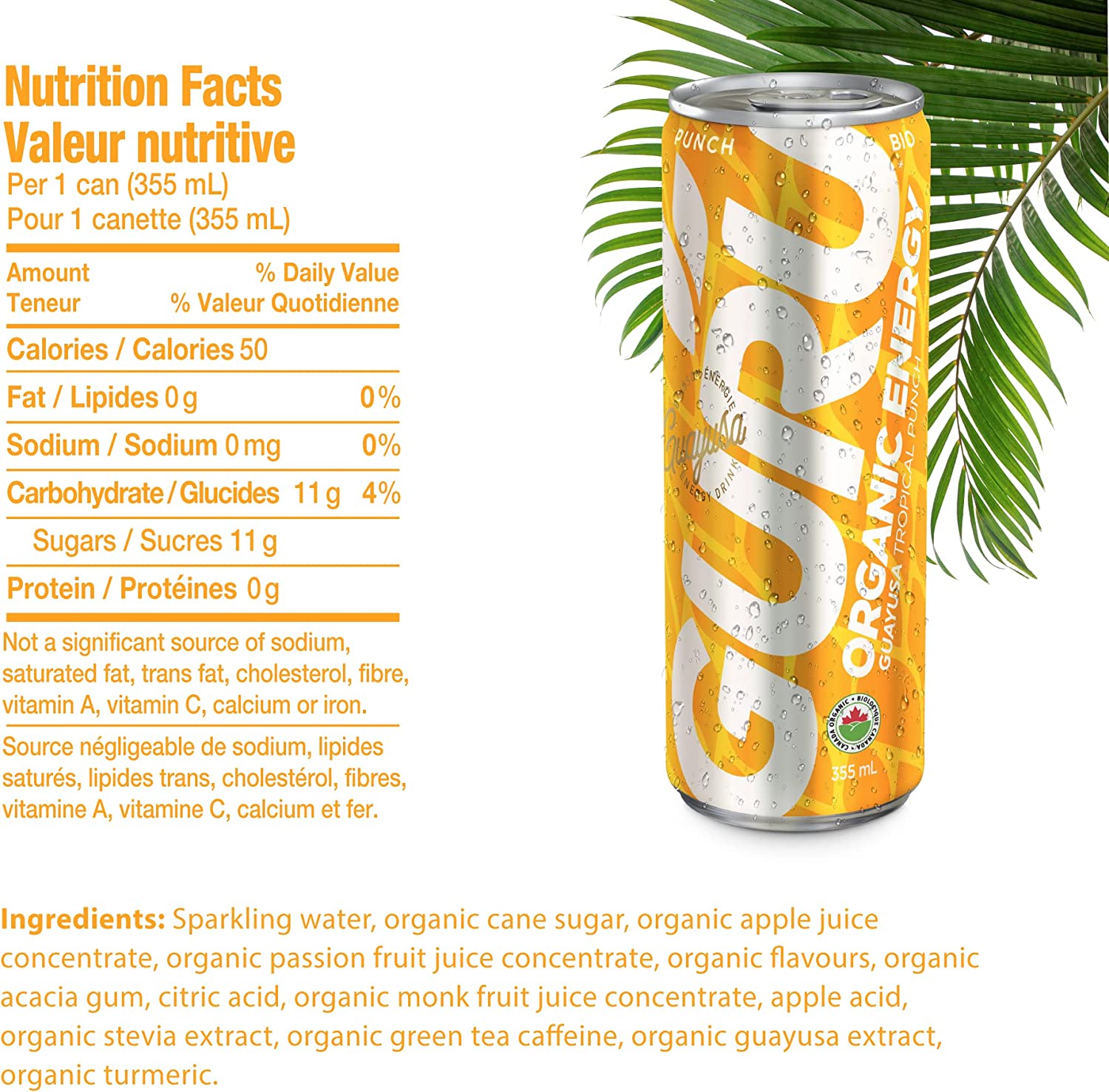 GURU Organic Energy