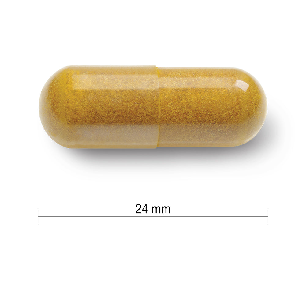 Jamieson Curcumin Turmeric 550mg - 60 Capsules - Herbals