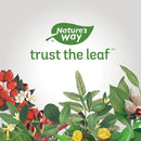 Nature's Way Esberitox Chewable - - Herbals