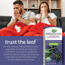 Nature's Way Organic Sambucus Cold and Flu Care, Syrup - 240ml - Herbals