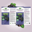 Nature's Way Organic Sambucus Cold and Flu Care, Syrup - 240ml - Herbals