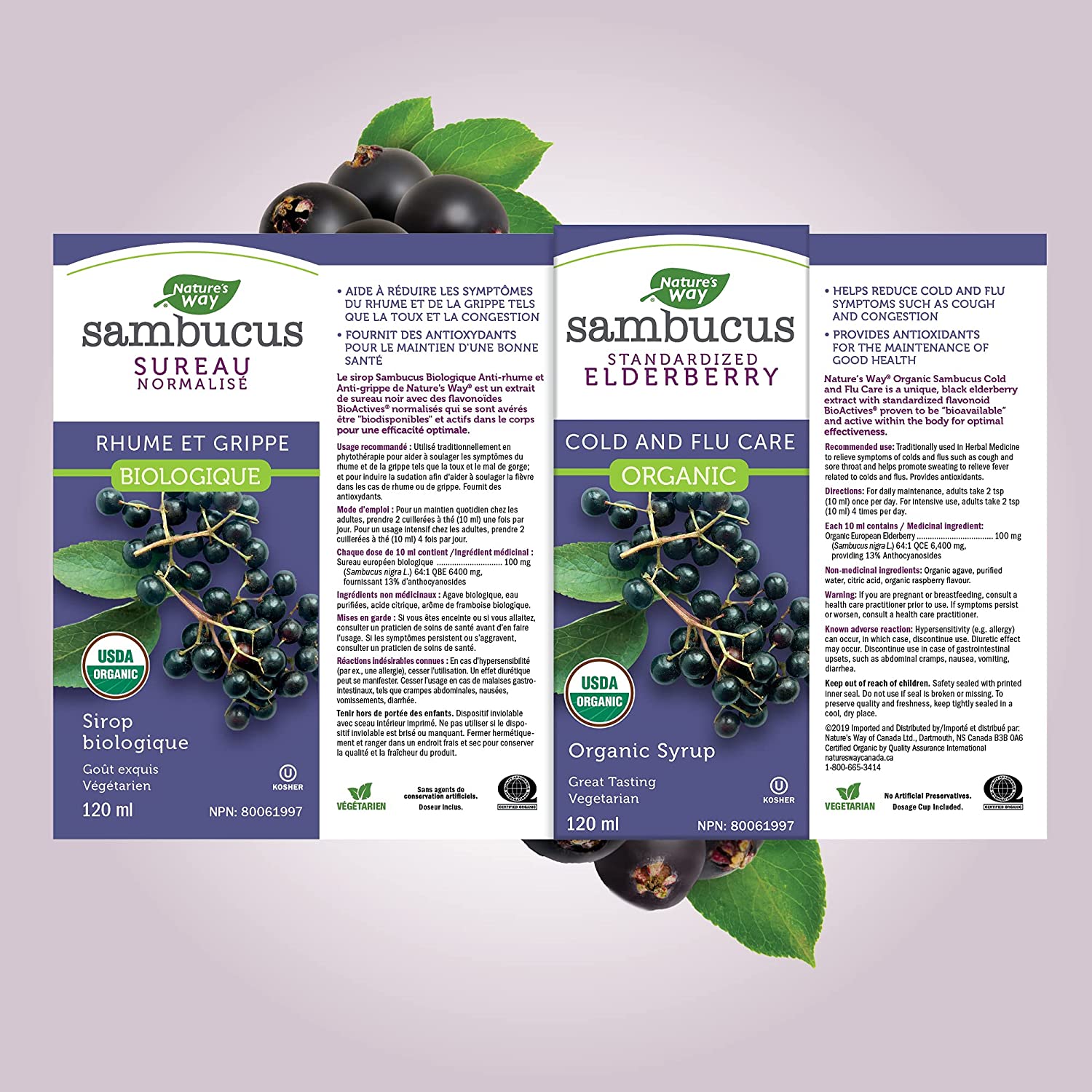 Sambucus Organic Elderberry Syrup 120 ml