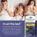 Sambucus Immune Elderberry Syrup - 120ml - Herbals