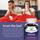 Nature's Way Sambucus Elderberry Immune Gummies - 60 Gummies - Herbals