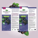 Nature's Way Organic Sambucus Cold and Flu Care, Syrup - 120ml - Herbals