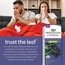 Nature's Way Organic Sambucus Cold and Flu Care, Syrup - 120ml - Herbals