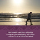 Nature's Way Saw Palmetto - 60 Softgels - Herbals