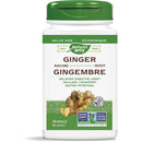 Nature's Way Ginger Root - 180 vegetarian capsules - Herbals