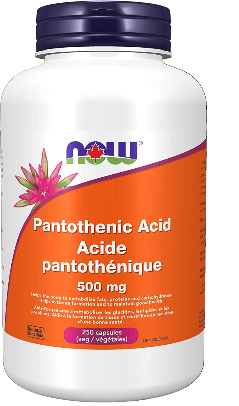 Pantothenic Acid 500mg 250cap