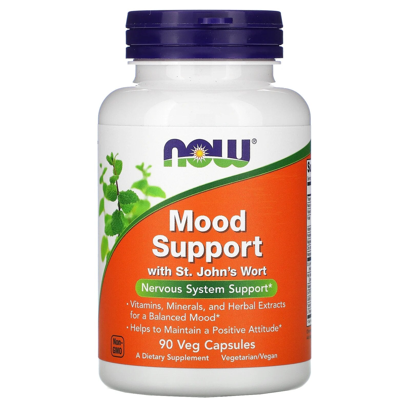 Mood Support with St. John's Wort 90 Caps