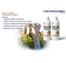 Schinoussa ENA - Liver - 500ml - Liver Support