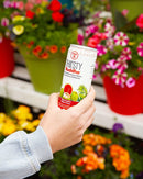 Thirsty Buddha Sparkling Coconut Water - Watermelon 330ml - Coconut Water